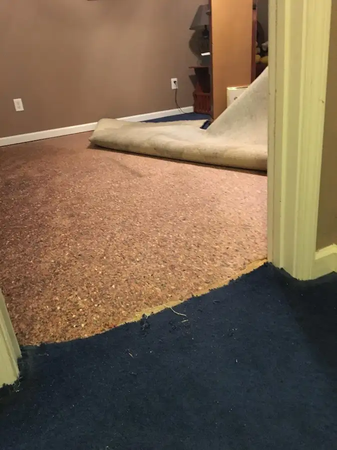 Carpet pad removal revealing water damage during Drying & Dehumidification in Springdale
