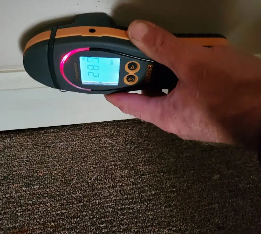Moisture detection at baseboard during Sewage Cleanup & Sanitation in Springdale
